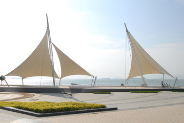 关于动物的英语手抄报