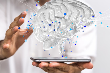 关于动物的英语手抄报