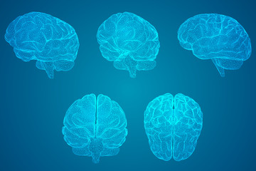 慈善活动的经典口号宗旨集合(46句)