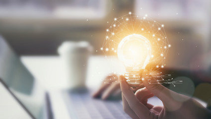 主编是什么意思