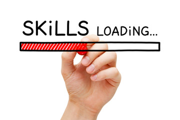 关于动物的英语手抄报