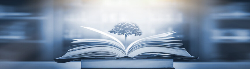 主编是什么意思