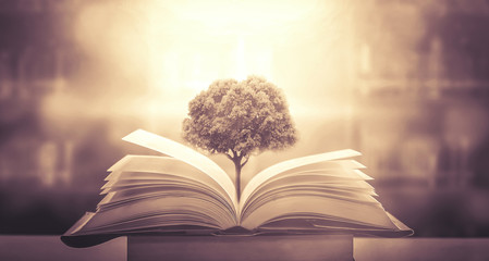 学生研学旅行心得体会范本