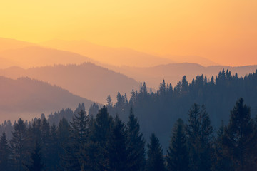景德镇青花盘子值钱吗