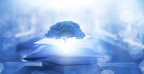 人教版小学二年级上册数学期末试卷