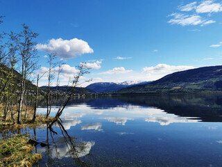 人教版小学二年级上册数学期末试卷