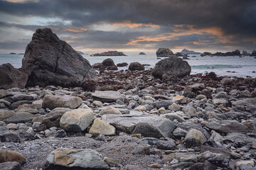 主编是什么意思