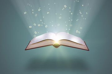 主编是什么意思