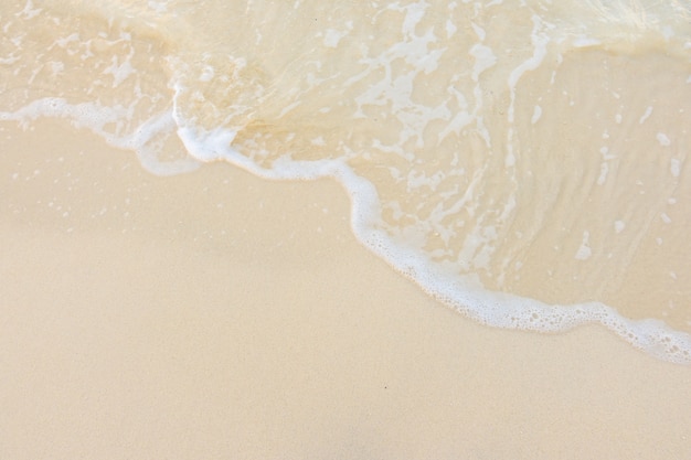 哪些部门跟单位不属于地方政府管