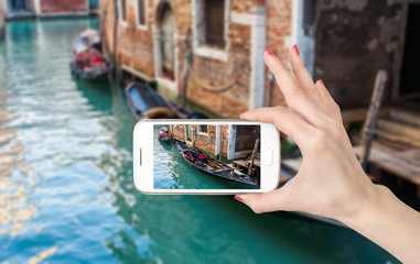 主编是什么意思