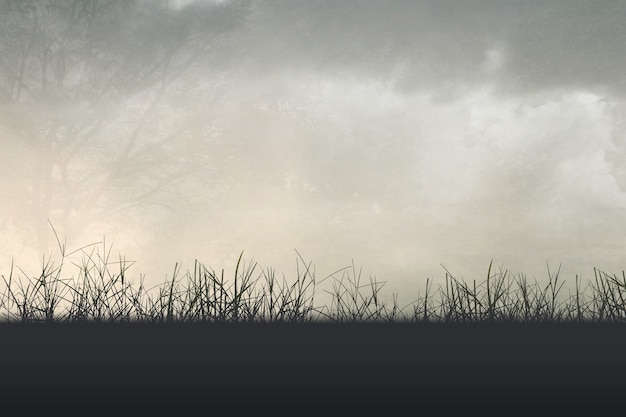 关于平等的大全手抄报 关于安全手抄报