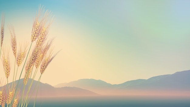 什么比猎豹的速度更快教学案例