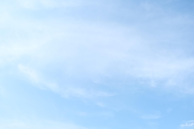 景德镇青花盘子值钱吗