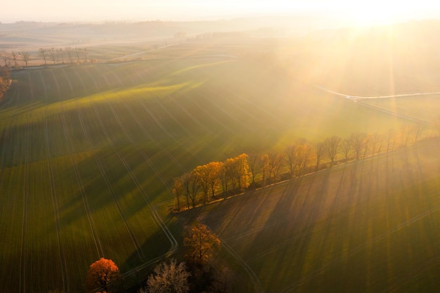 关于伽利略的小故事50字