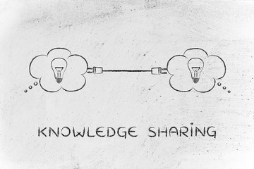 什么比猎豹的速度更快教学案例